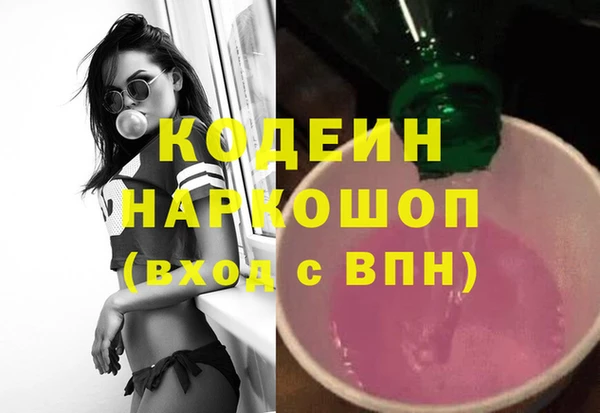 хмурый Алзамай