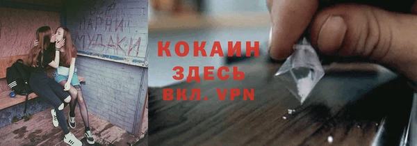 ПСИЛОЦИБИНОВЫЕ ГРИБЫ Алексин