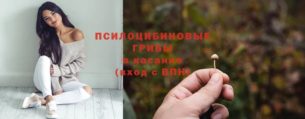 ПСИЛОЦИБИНОВЫЕ ГРИБЫ Алексин