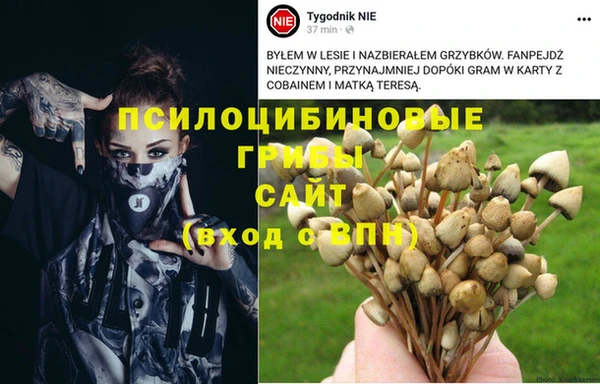 винт Алексеевка