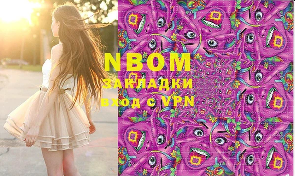 хмурый Алзамай
