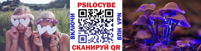Купить  Рудня  Галлюциногенные грибы мицелий 