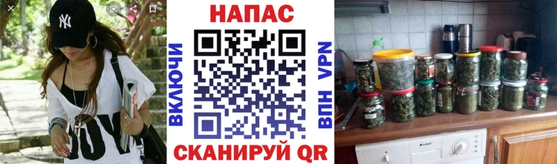 Купить  Рудня  Канабис ГИДРОПОН 